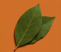 Bay Leaves