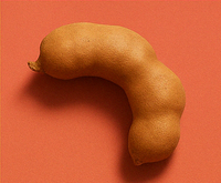 Tamarind