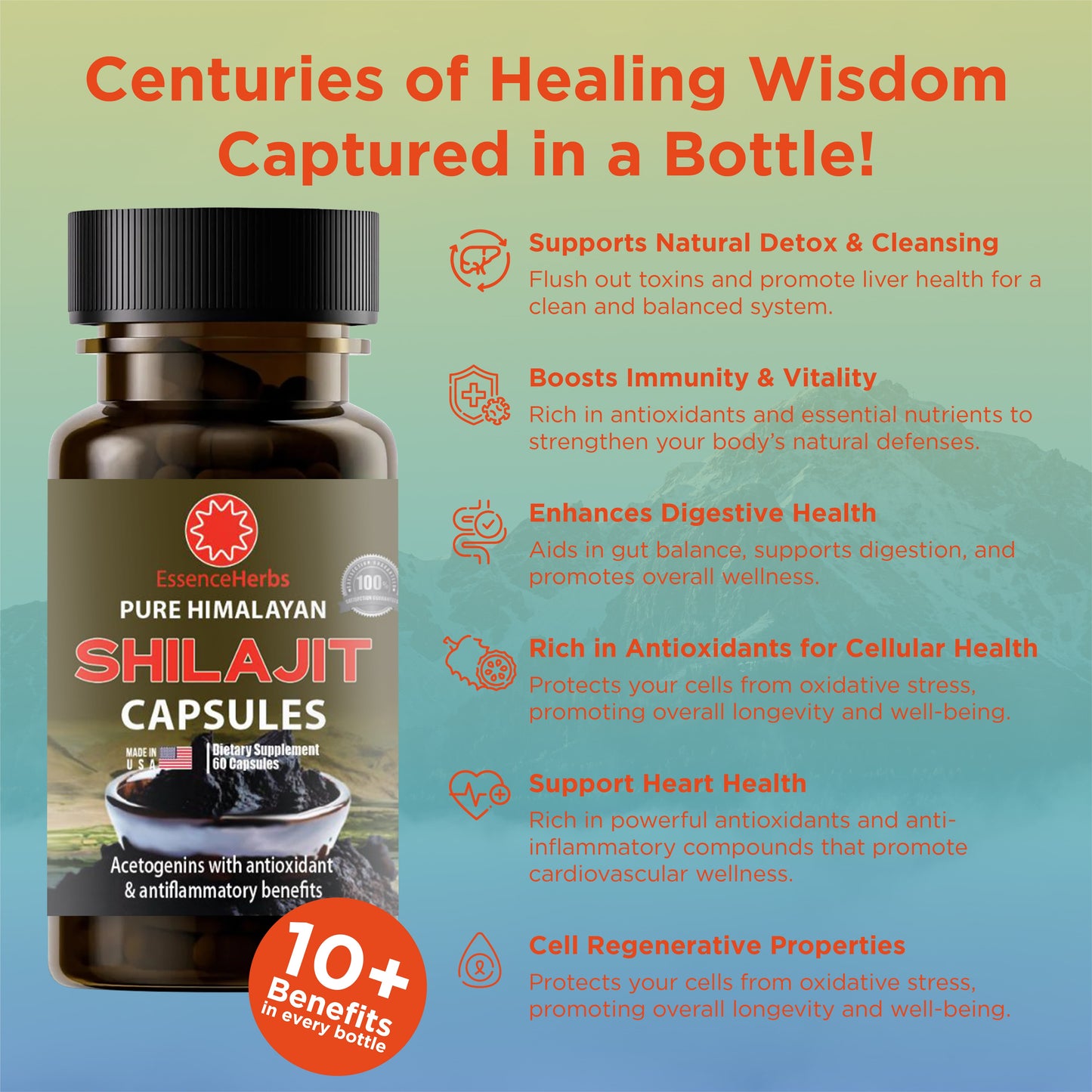 Shilajit Capsules