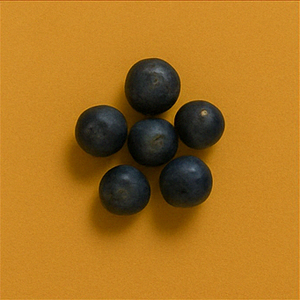Juniper Berries