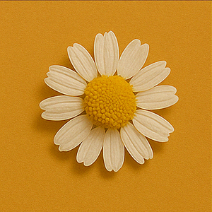 Chamomile